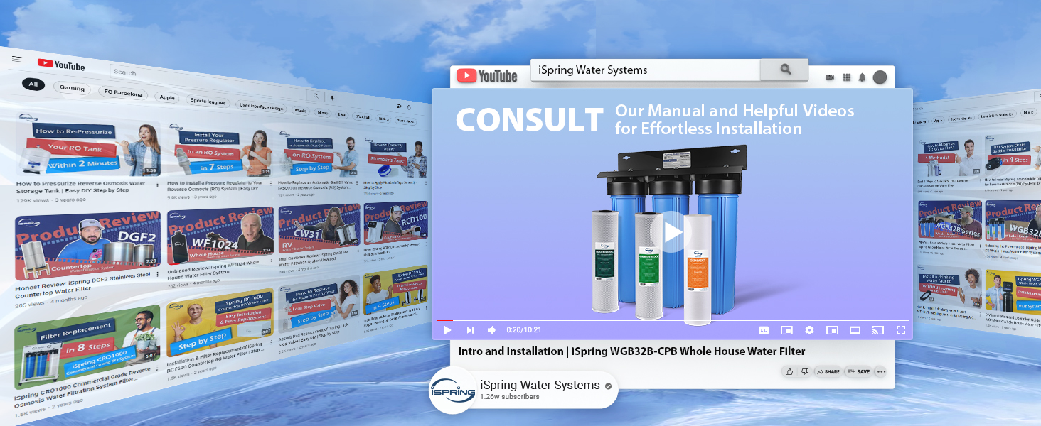 Consult