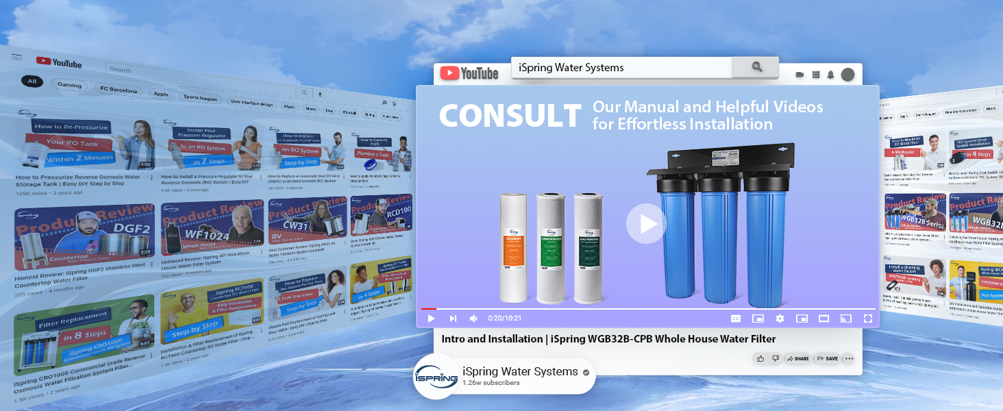 Consult
